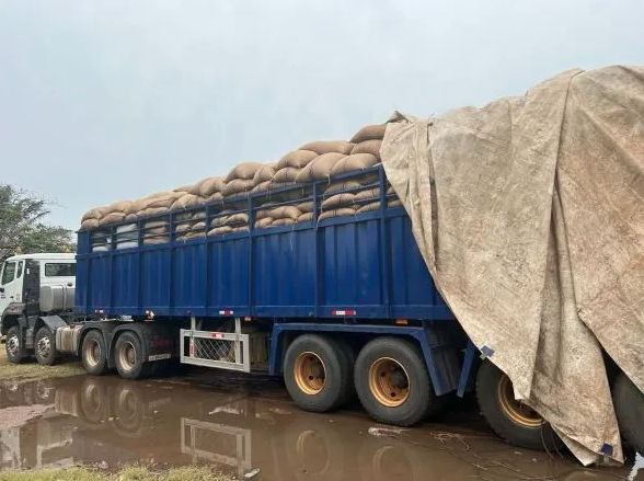 1,500 Bags Of Cocoa Smugglers Arrested
