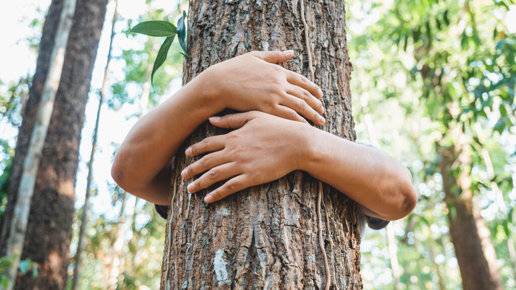 Climate Change And The Need For Forest Protection In Ghana