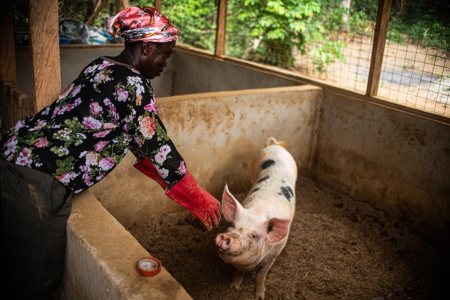 Rainforest Alliance Train Farmers In Alternative Livelihoods