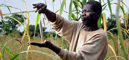 FAO Tells Gov’t To Engage Farmers In Developing Climate-Smart Agricultural