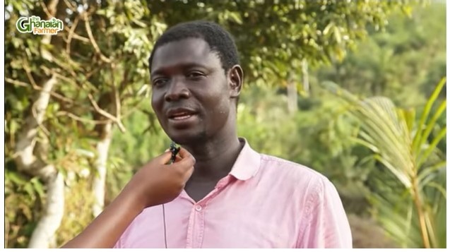 Teacher-Turned Farmer Shares Practical Tips On Growing Cinnamon In Ghana