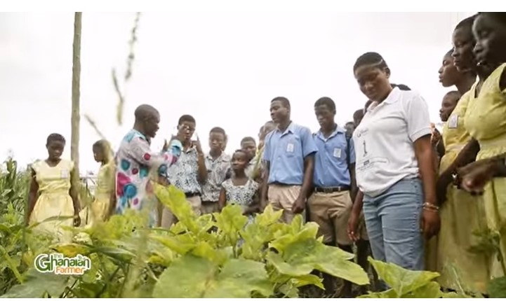 How Sekondi College Is Training And Feeding Students Through School Farm Projects