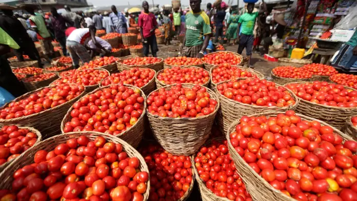 Tomatoes Scarcity: Use These Cheaper Alternatives For Stews And Soups