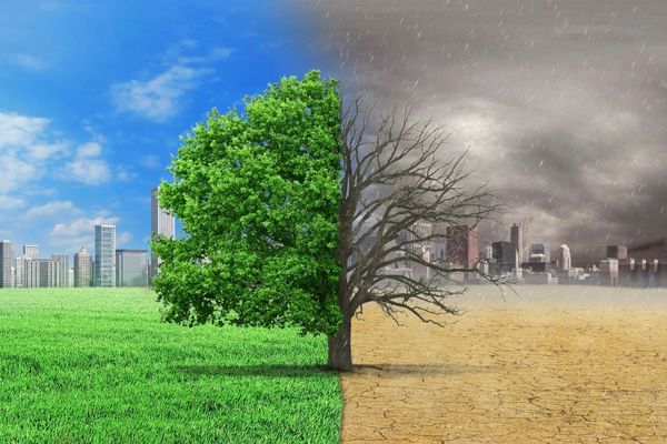 Applications Open For 2023 African Climate Innovation Challenge