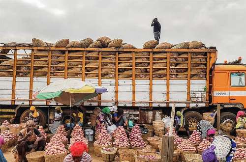 Niger Coup And Onion Shortage: Stop The ‘Talk-Shops’ And Invest In Irrigation Facilities – Host Of Ghanaian Farmer Show