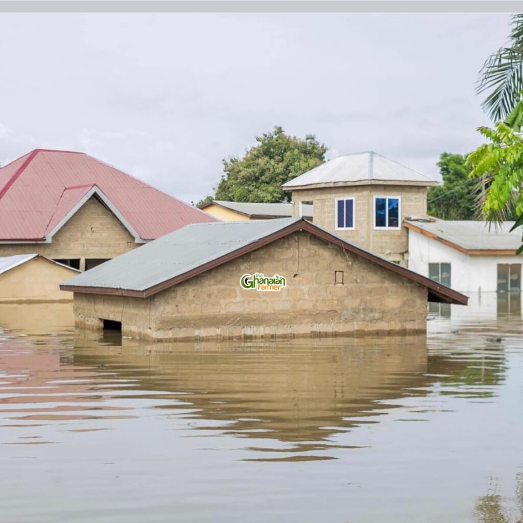 Chamber of Aquaculture to collaborate with VRA to disseminate information to farmers.
