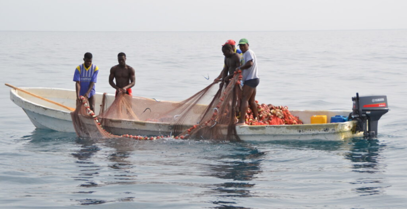 Ministry of Aquaculture To Establish Blue Economy Commission To Explore Marine Life
