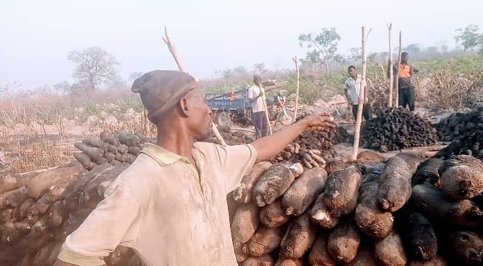 Farmer Loses 1,000 Tubers Of Yam To Bushfire; Calls For Arrests