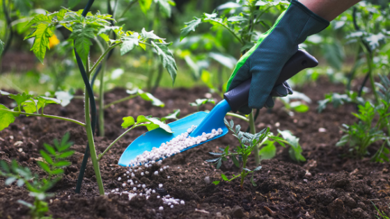 Crop Nutrition: Learn From Brazil and Finland- Environmental Scientist Tells African Governments