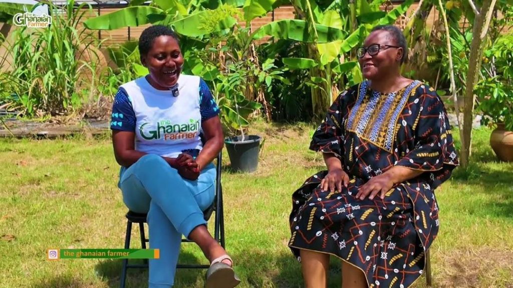 MBC Africa CEO Makes Case For Resourcing The Youth In Agribusiness For Jobs And Improve Food Systems