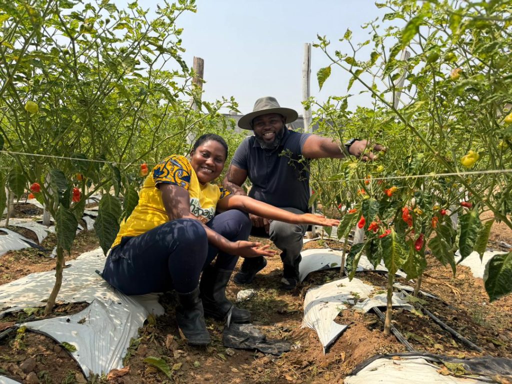 Meet Farmer Nii, The Civil Engineer Turned Agripreneur Revolutionizing Urban Farming