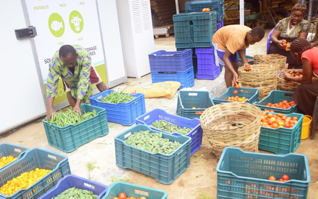 Produce Diverse Range Of Foods For Local And International Tastes – Agricterra Ghana