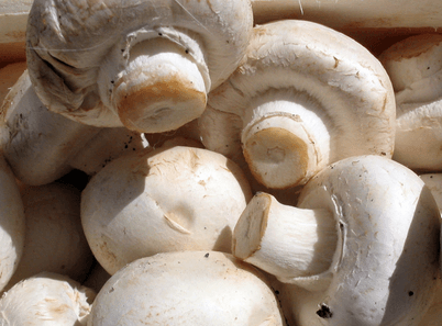 Ghana Imports Mushrooms To Meet 6 Tonnes Demand Monthly – Farmer Says