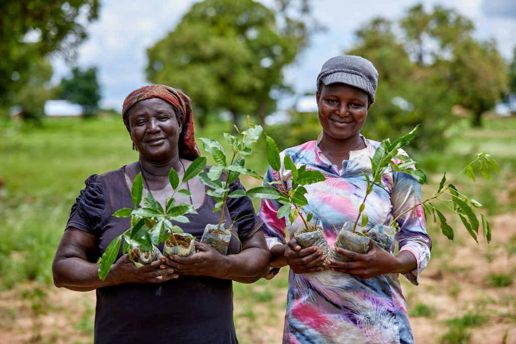 Ho Technical University To Establish Baobab Farms To Mitigate Climate Change Effects
