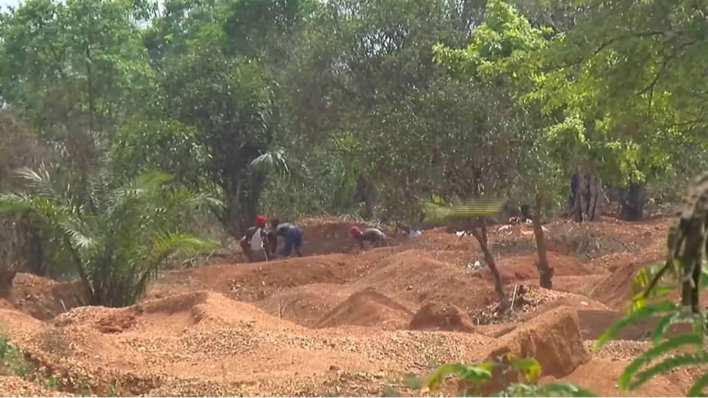 War On Galamsey: TCDA To Launch Multi-Stakeholder Task Force To Secure Cash Crops