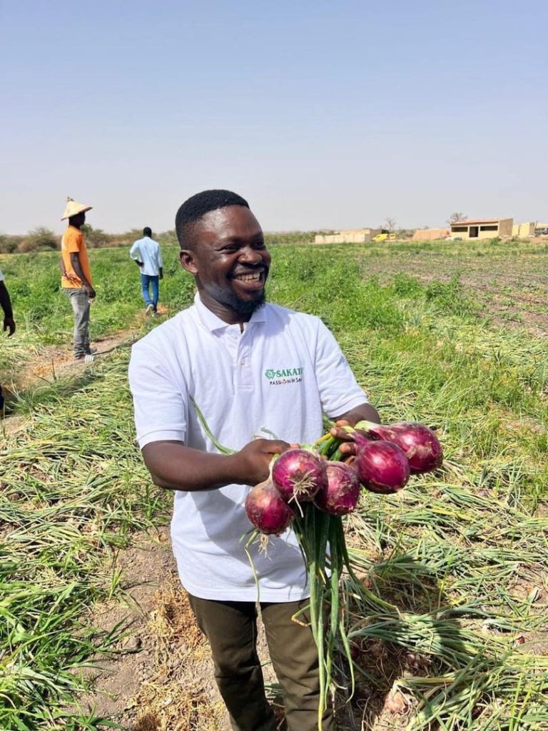 Financial Institutions Need Proper Training On Tailored Loan Packages For Farmers – Agribusiness Expert