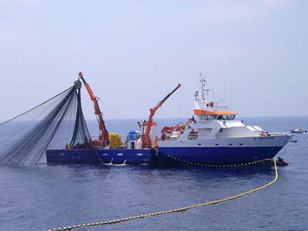 Four Industrial Vessels Face Suspension Over Illegal Fishing