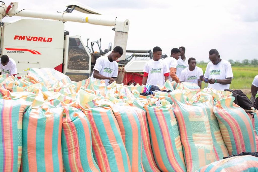 Better Food and a Better Future: Ghana Marks World Food Day 2025