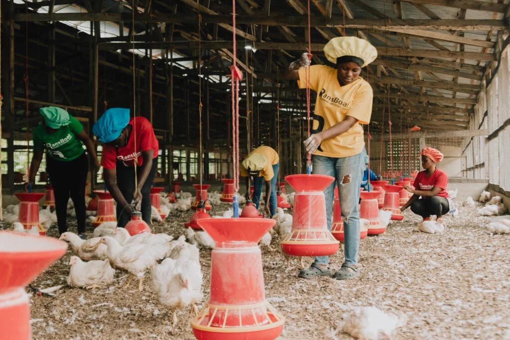 Future Of Agric : What’s Driving Ghana’s Agricultural Sector In The Last Quarter Of 2025