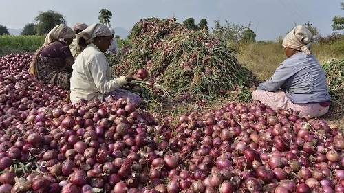 Make Onion Industry Competitive – Farmers Advised Over Calls To Ban Import Amid Glut