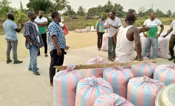 Farmers Sidelined As Govt Contractors Supply Imported Rice To Schools Instead Of Local Rice