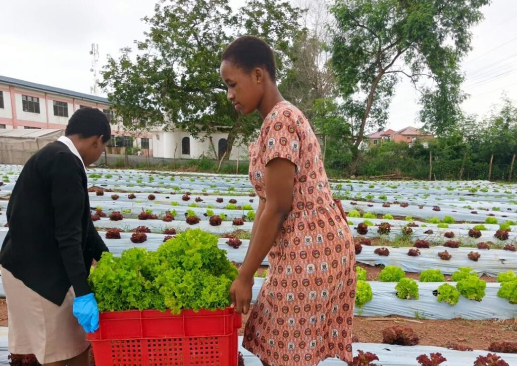 HBP Project Turns Students Into Next-Gen Agripreneurs