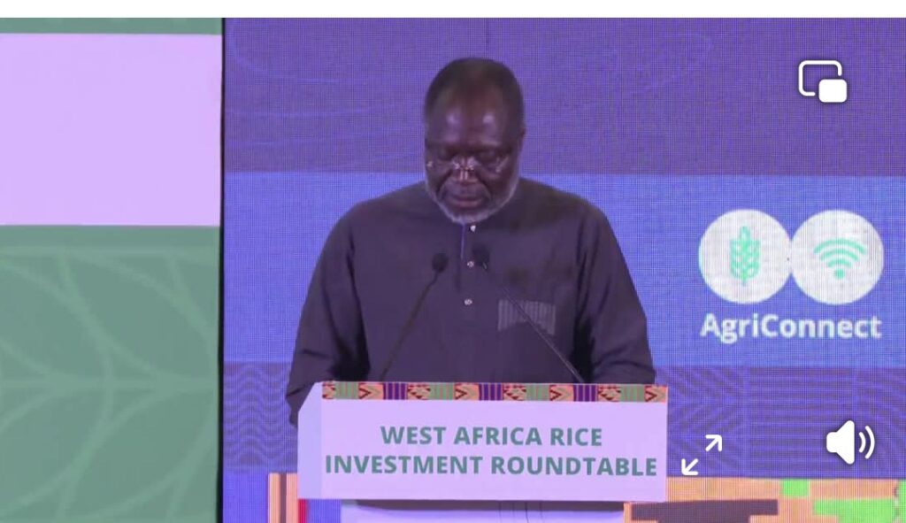 West Africa Rice Investment Roundtable Opens In Accra with Push For Self-Sufficiency By 2035