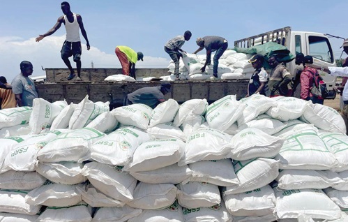 Peasant Farmers Lament Late Subsidies Despite MoFA’s Plan To Distribute 40,000 Fertiliser Bags