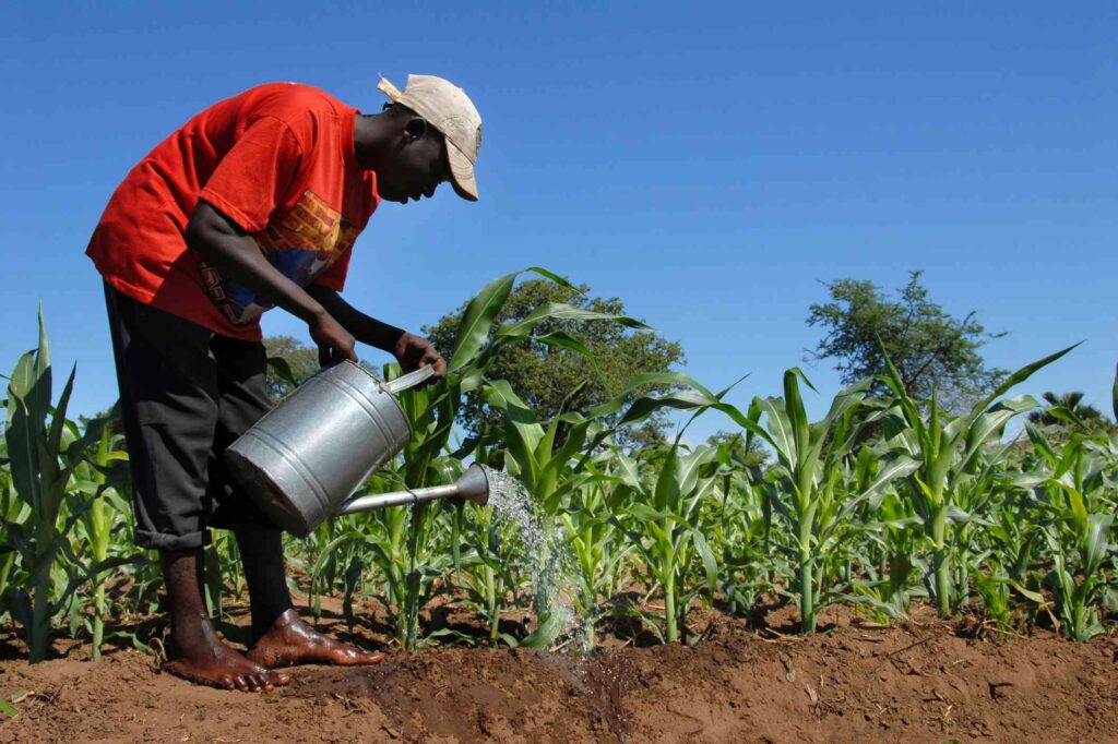 New FAO Report Shows Progress On Global Hunger, Pushes For Sustainable Agri-Food Systems