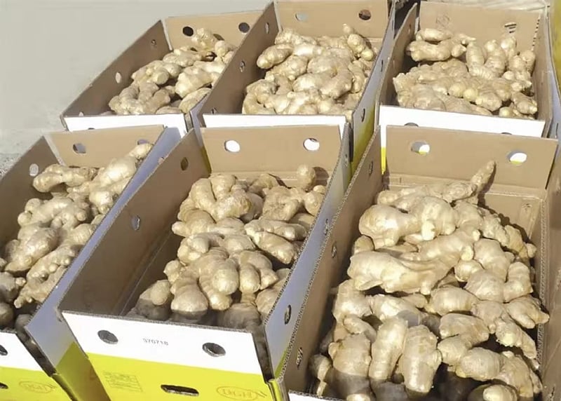 Ghana Now Depends On 99% Imported Ginger – CSIR Research