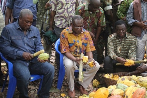NPP Urges Prez Mahama Against Signing New Cocoa Board Bill