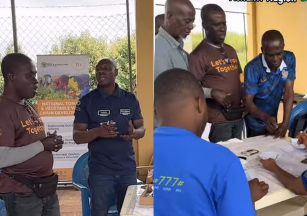 Farmmate Africa, Partner Bank Roll Out GHS20,000 Package For Akumadan Tomato Farmers