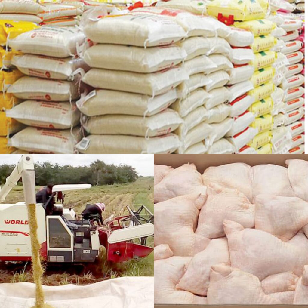 Policy Contractions Blamed As Imports Stall Local Rice And Poultry Growth