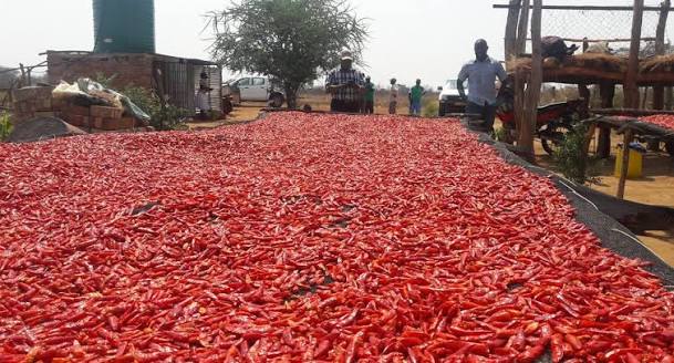 Local Farmers Sidelined As Ghanaian Powdered Pepper Brands Import Raw Materials From India