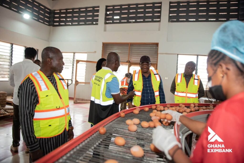 EXIM Bank Invests In 54,000-Bird Automated Layer House In Buntaa Farms