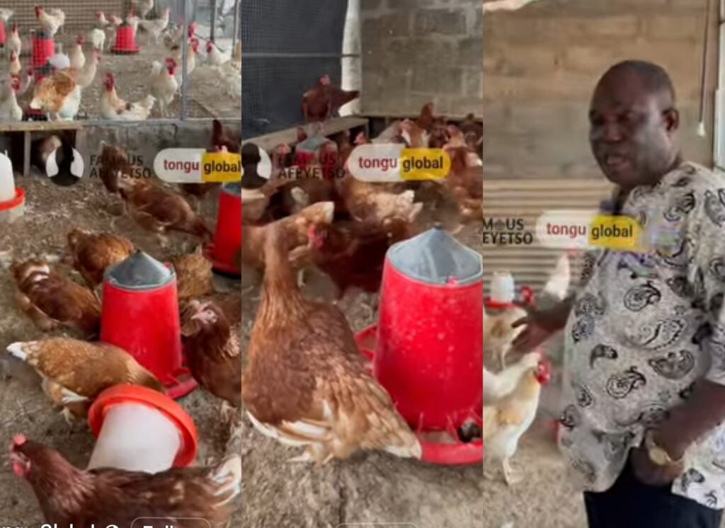 Nkoko Nkitinkiti: Beneficiary Turns 100 Birds Into Promising Family Income Source